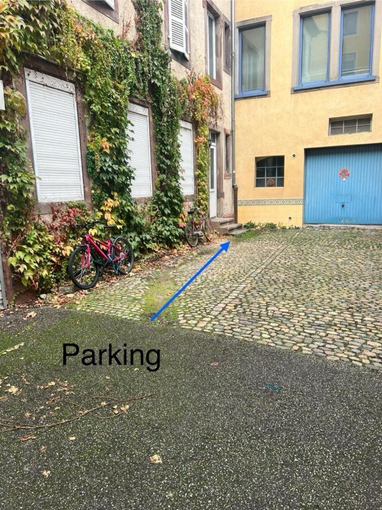 Chez Sandrine, Mon Appartement Elegant + Parking Strasbourg Kültér fotó
